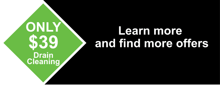 Green diamond highlights “ONLY $39 Drain Cleaning.” Beside it, white text on black invites you to explore more trusted local offers.