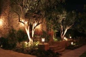 Thoughtfully illuminated trees and shrubs line a stone walkway at night, reflecting the safety and care Black Diamond Experts provide.